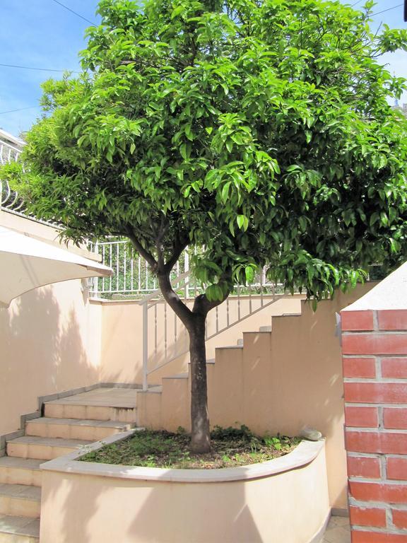 Room & Apartment Saint John دوبروفينك المظهر الخارجي الصورة